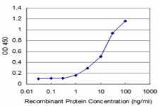 10 - SUPT5H Antibody (monoclonal) (M04) AT4110a
