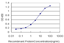 10 - TBL1X Antibody (monoclonal) (M07) AT4162a