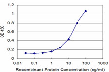 10 - TPO Antibody (monoclonal) (M08) AT4322a
