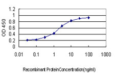 10 - UBE2C Antibody (monoclonal) (M01) AT4429a