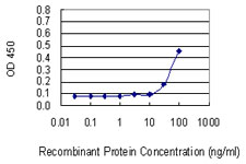 10 - VDAC2 Antibody (monoclonal) (M01) AT4508a