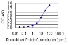 10 - XRCC5 Antibody (monoclonal) (M02) AT4553a