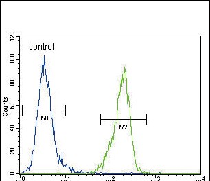 4 - ENPP2 Antibody (Center K416) AP2854C