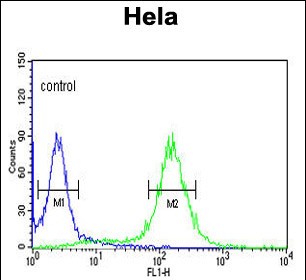 4 - MPST Antibody (N-term) AP7652a
