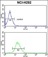 4 - PDIA3 Antibody (C-term) AP2922b