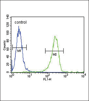 4 - TPA Antibody (Center) AP6778C