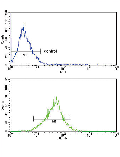 4 - APOL1 Antibody AP7361a