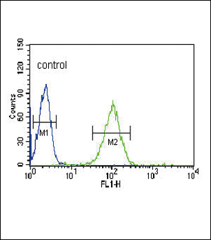 4 - NOS3 Antibody (N-term) AP6963a