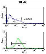 4 - NR1I2 Antibody (Center) AP8674C