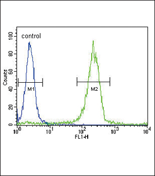 4 - SOCS1 Antibody (N-term) AP8790A