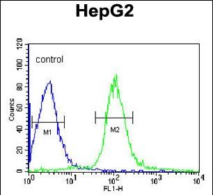 4 - MGST2 Antibody (C-term) AP8876b