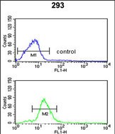 4 - PEX11A Antibody (N-term) AP9007a