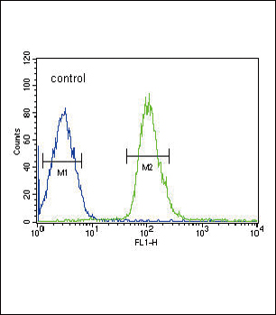 4 - DUSP2 Antibody (C-term) AP9084B