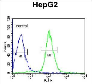 4 - DIPA Antibody (Center) AP9120c
