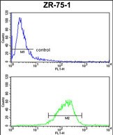 4 - COX6A1 Antibody (Center) AP9155c