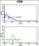4 - KCNJ11 Antibody (N-term) AP9209a