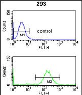 4 - SMNDC1 Antibody (N-term) AP9372a