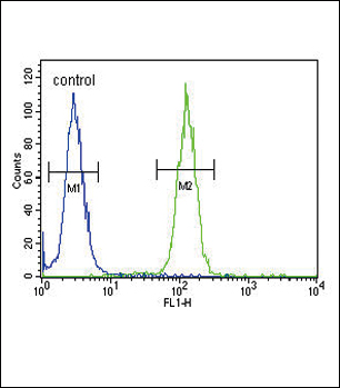 4 - NCOA7 Antibody (N-term) AP9535a