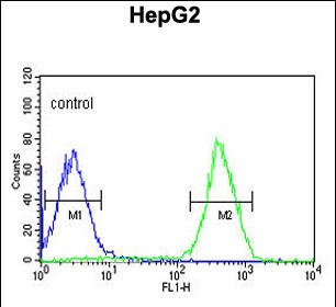 4 - PUR4 Antibody  (N-term) AP4751a