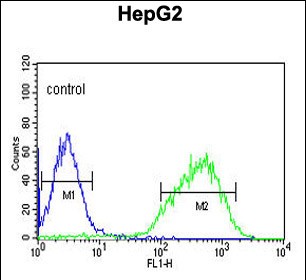 4 - HIST1H2AL Antibody (C-term) AP4897b