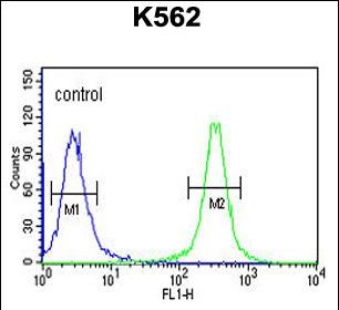 4 - HSP90B1 Antibody (N-term) AP4899A