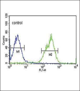 4 - MAP4K3 Antibody AP9860A