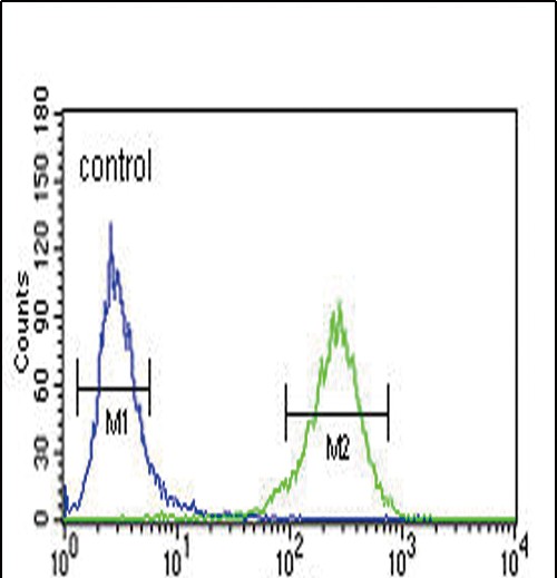 4 - AHR Antibody (Center) AP5533c