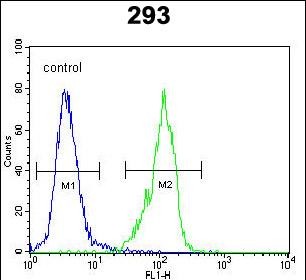 4 - GAL Antibody (C-term) AP5746b