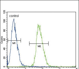 4 - ADH4 Antibody (C-term) AP10128b