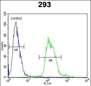 4 - TAC1 Antibody (C-term) AP5872b