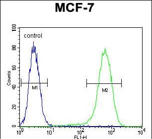 4 - NUDT8 Antibody (N-term) AP10560a