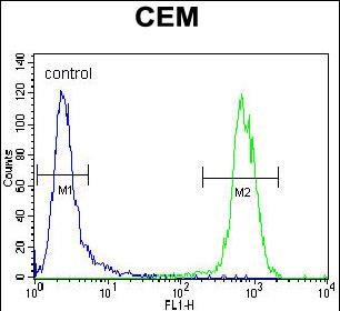 4 - PON1 Antibody (Center) AP10684c