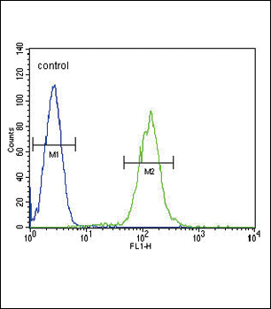 4 - PLA2G2D Antibody (C-term) AP11151B