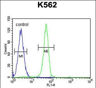 4 - PLEKHA4 Antibody (N-term) AP11773a