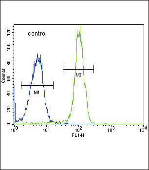 4 - SDHD Antibody (N-term) AP12155a