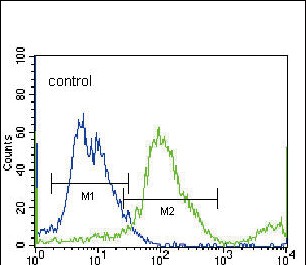 4 - SLC36A1 Antibody (N-term) AP12170A