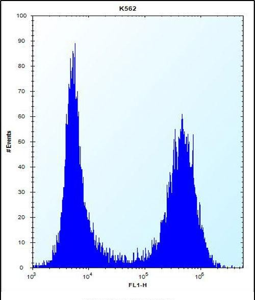 4 - SCAP Antibody (N-term) AP12299a