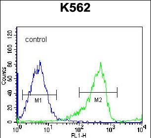 4 - PCDHB14 Antibody (N-term) AP12321a