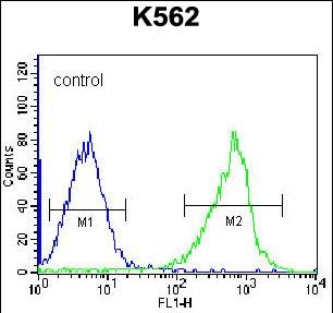 4 - GSTM5 Antibody (N-term) AP12728a