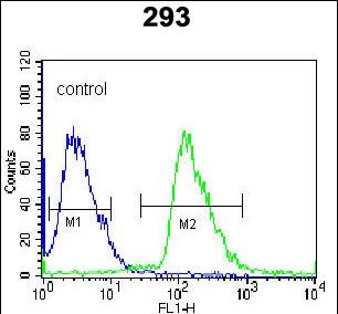 4 - RFK Antibody (N-term) AP7183a