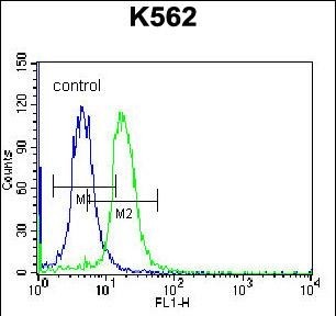 4 - STARD5 Antibody (N-term) AP12823a