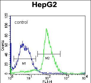 4 - PON2 Antibody (N-term) AP12952a