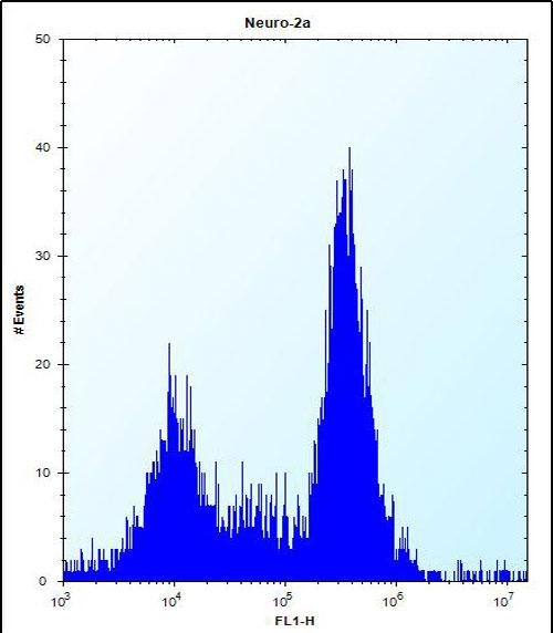 4 - SDF2L1 Antibody (C-term) AP13479B
