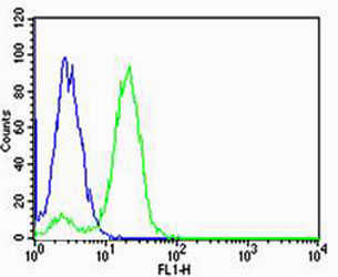 4 - HIST1H2AG Antibody (Center) AW5129
