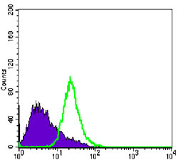 4 - NKX3A Antibody AO1380a