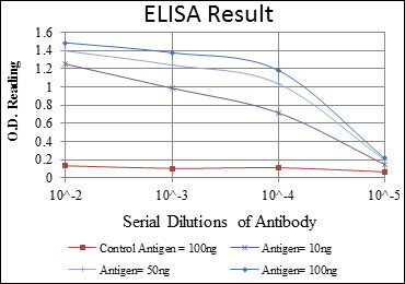 10 - NR3C1 Antibody AO1510a