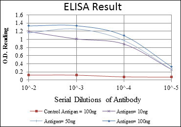 10 - CTTN Antibody AO1539a