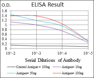 10 - G6PD Antibody AO1634a