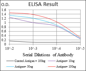 10 - MSH6 Antibody AO1649a