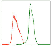 4 - MPL Antibody AO1659a